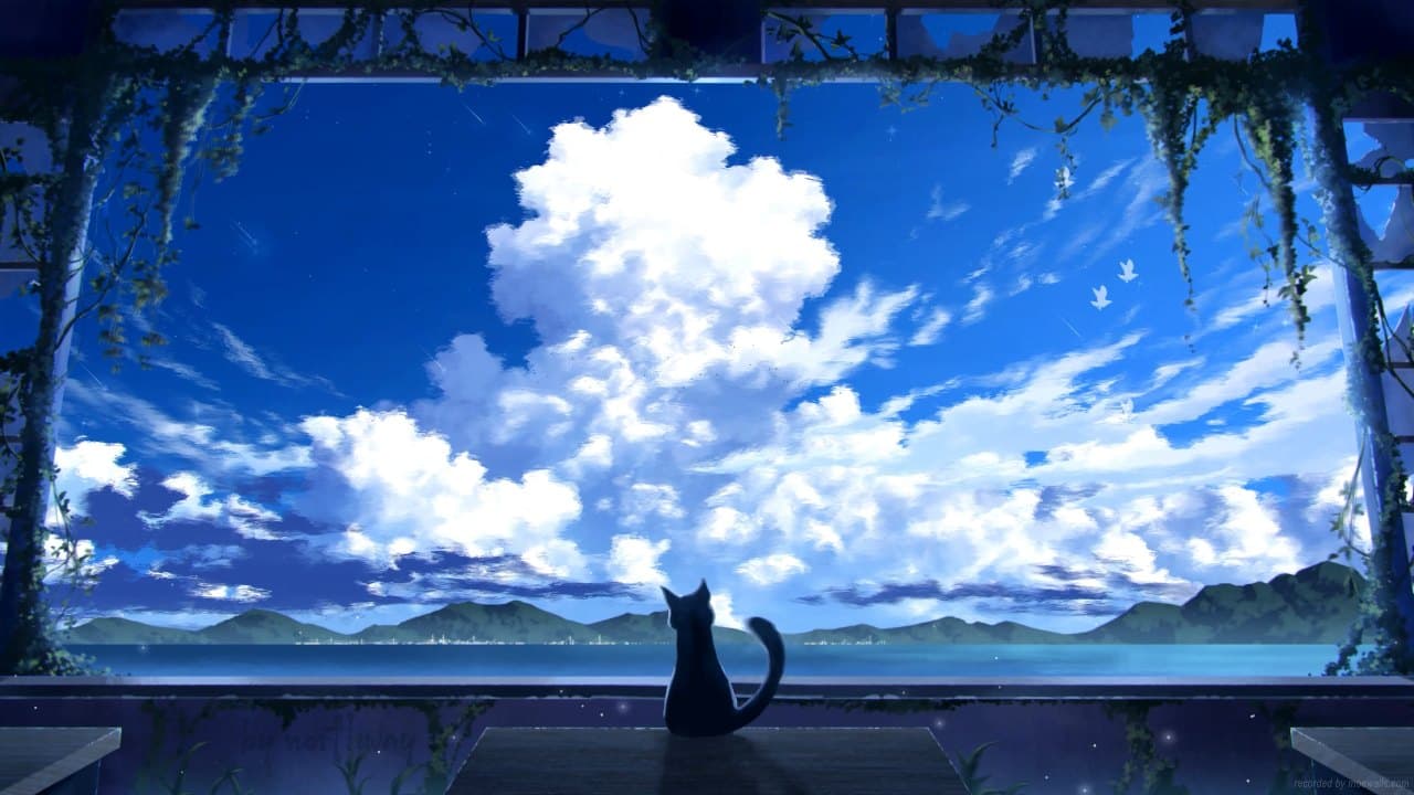Cat Watching the Sky — Cats live wallpaper for Mac