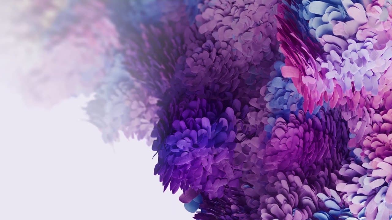 Purple Bloom Swirl — Nature live wallpaper for Mac