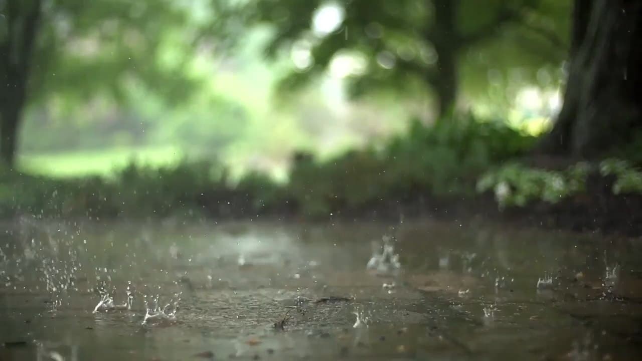 Rain Droplets on Pavement — Nature live wallpaper for Mac