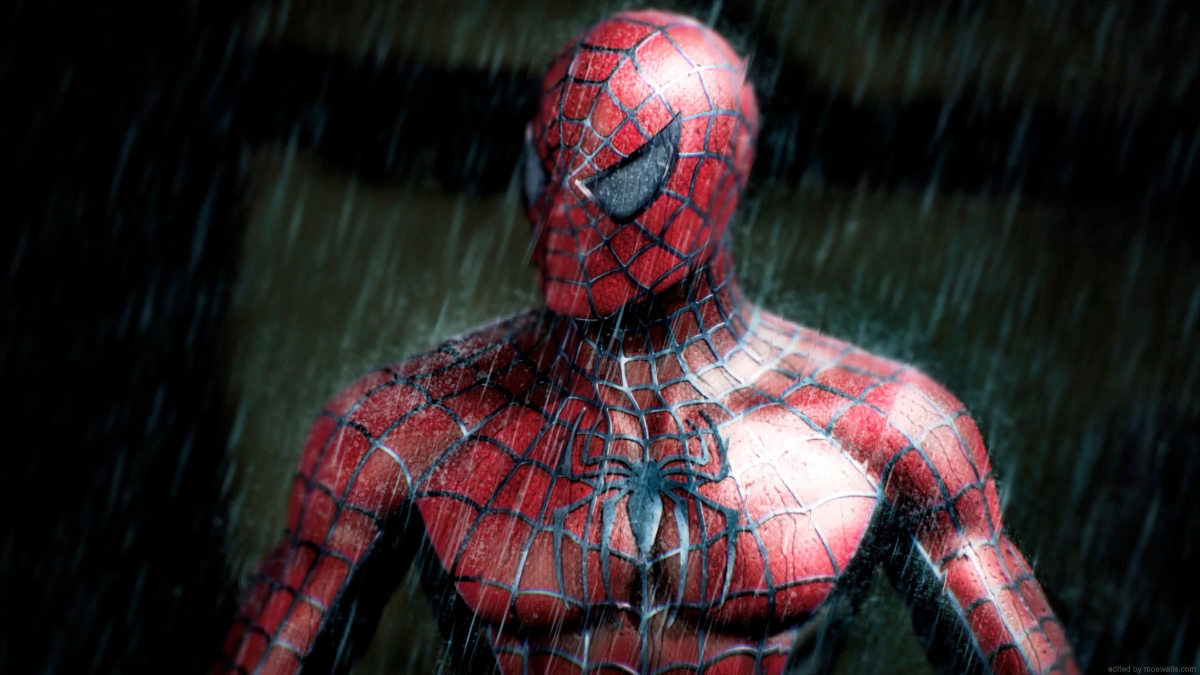 Spider Man In The Rain — Anime live wallpaper for Mac