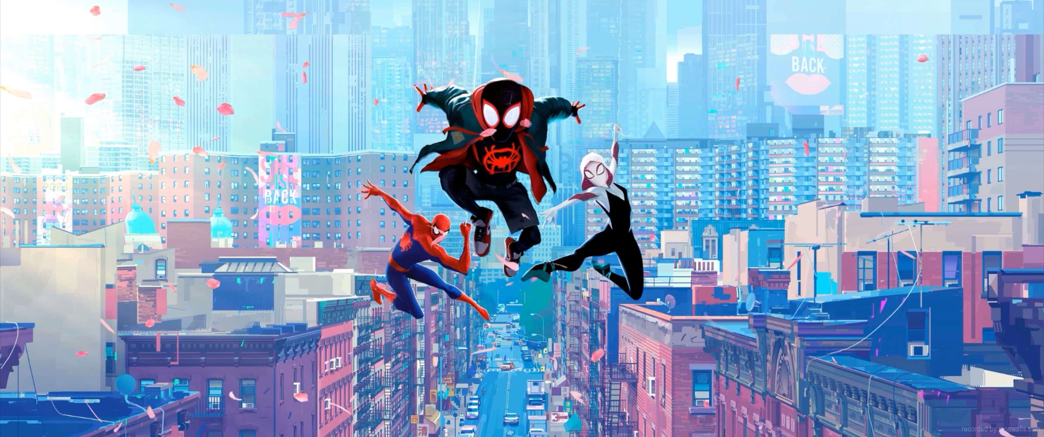 Spiderman Into The Spiderverse — Anime live wallpaper for Mac