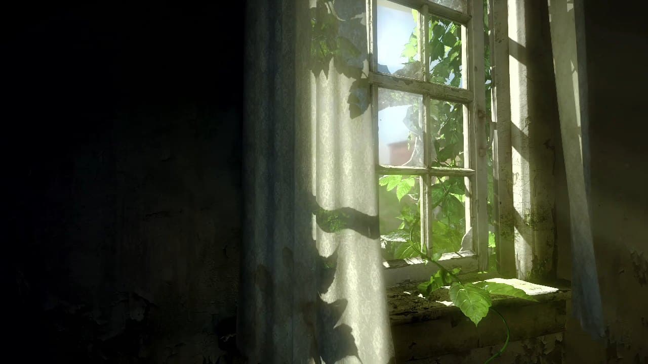 Sunlit Abandoned Window — Nature live wallpaper for Mac