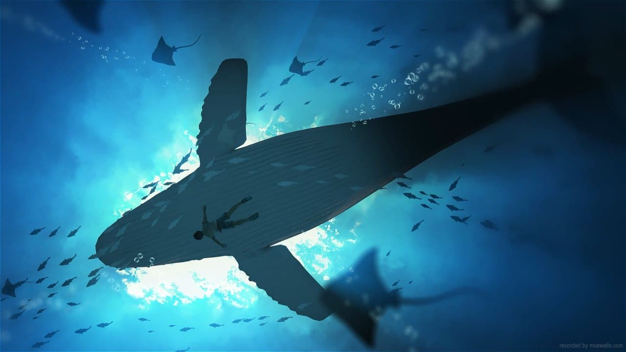 Whale Underwater Drift — Nature live wallpaper for Mac